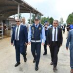 Aydın çam fıstığı AB’den coğrafi işaret tescili aldı – Birlik Haber Ajansı