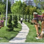 Sesler ve renkler Artvin’de buluşuyor – Birlik Haber Ajansı