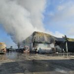 Gülde önemli fırsatlar var yeni pazarlar araştırılmalı – Birlik Haber Ajansı