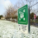 KODELİG’25 Robotik ve Kodlama Yarışması başlıyor – Birlik Haber Ajansı