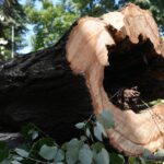 Kamu işçileri için kritik gün: Hükümet ikinci zam teklifini yarın açıklayacak – Birlik Haber Ajansı