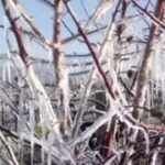 Konya’da “Yarının Köyleri” ile kırsal hamle – Birlik Haber Ajansı