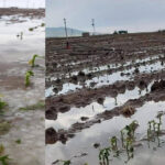 Salda’da doğayla iç içe festival coşkusu – Birlik Haber Ajansı