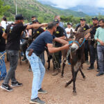 Hollanda’da hükümet krizi: Kabine dağıldı – Birlik Haber Ajansı