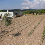 Gaziantep Büyükşehir’den bayram öncesi destek – Birlik Haber Ajansı
