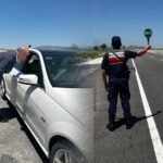 Sokak Hayvanları Komisyonu Alaşehir ve Sarıgöl’de incelemelerde bulundu – Birlik Haber Ajansı