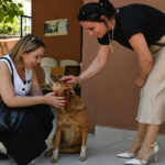 Siirt’te Fıstık için geri sayım başladı – Birlik Haber Ajansı