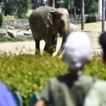 Bayramın ilk gününde 692 trafik kazası: 7 kişi hayatını kaybetti, 1128 yaralı – Birlik Haber Ajansı