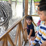 İsrail’in esir aldığı 12 aktivistin son durumu ne? – Birlik Haber Ajansı