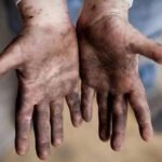 Süne mücadelesi faydalı canlıları tehdit ediyor – Birlik Haber Ajansı