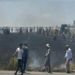 ABD’den gıda tarihinde bir ilk: Laboratuvar üretimi somona FDA onayı – Birlik Haber Ajansı