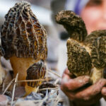 Mehmet Başköylü’den Kağızman Şehit Ferhat Çiftçi Gençlik Merkezi’ne ziyaret – Birlik Haber Ajansı