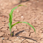 Kars Açık Kapı Şubeden şehit yakınları ve gazilere anlamlı ziyaret – Birlik Haber Ajansı