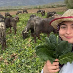 Bilecik’te rahatsız edici motosiklet sürücülerine gereği yapıldı! – Birlik Haber Ajansı