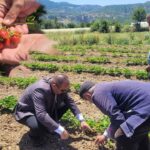 Finike’de motosiklet denetimi: 28 araç trafikten men edildi – Birlik Haber Ajansı