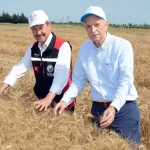 Zekeriya Tüysüz, Sayıştay Daire Başkanlığına seçildi – Birlik Haber Ajansı