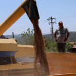 Genetik kodda gizli tehlike: Erkeklerde demans riski yükseliyor – Birlik Haber Ajansı