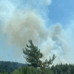 Türkiye Kültür Yolu Festivali’nde Samsun etabı: 21 Haziran’da başlıyor! – Birlik Haber Ajansı