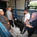 Kurban Bayramı tatilinde trafik kazaları bilançosu: 44 kişi öldü 6 bin 370 kişi yaralı – Birlik Haber Ajansı