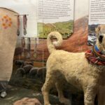 Cumhurbaşkanı Erdoğan’dan çiftçiye kredi müjdesi: “Ziraat varsa memleketin dört bir yanında bereket var” – Birlik Haber Ajansı