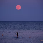 51 İlde 273 Göçmen Kaçakçılığı Organizatörü Yakalandı – Birlik Haber Ajansı