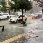 Diyarbakır’da 12 Milyon 389 Bin 174 Adet Kök Kenevir Ele Geçirildi – Birlik Haber Ajansı