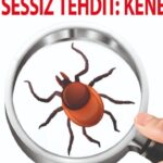 Manisa’da Fresh Park çocukların gözdesi oldu – Birlik Haber Ajansı