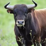 2025 hac sezonunda 14 Türk vatandaşı hayatını kaybetti – Birlik Haber Ajansı