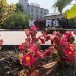 Siyasi Partiler Kurban Bayramı’nda bayramlaşacak – Birlik Haber Ajansı