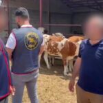 Mersin’de katı atıklar verimli ve sürdürülebilir şekilde taşınıyor – Birlik Haber Ajansı