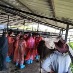 TŞOF Genel Başkanı Mehmet Yiğiner’den bayram trafiği uyarısı: “Aşırı hız bayram sevincini hüzne dönüştürmesin” – Birlik Haber Ajansı