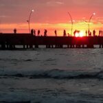 Yıldırım; Bu Proje Kamuya Örnek Teşkil Edecek – Birlik Haber Ajansı