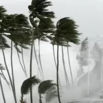 MHP’den “Terörsüz Türkiye İçin Milli Birlik ve Dayanışma Buluşmaları” – Birlik Haber Ajansı