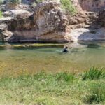 Bahçeli’den Özgür Özel’e ‘geçmiş olsun’ telefonu – Birlik Haber Ajansı