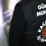 Datça‘da eşekler sahiplendiriliyor