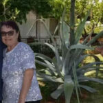 Akyaka Kaymakamı İsmail Demirtaş’tan Büyükpirveli köyü ilkokuluna ziyaret – Birlik Haber Ajansı