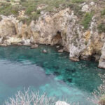 Kuşadası’nda nadir ziyaretçi: Akdeniz foku görüntülendi! – Birlik Haber Ajansı