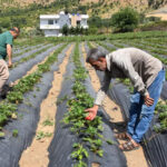 Konya'da Baba-Oğul Kampı kayıtları 10 Haziran'da