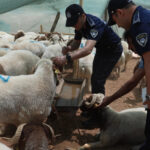 AK Parti Bucak’tan Kurban Bayramı buluşması – Birlik Haber Ajansı