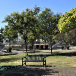 Kurban Bayramı süresince Türkiye’nin hava durumu nasıl olacak? – Birlik Haber Ajansı