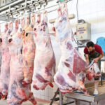 BM: İsrail, Gazze’ye yabancı gazetecilerin girişini engelleyerek gerçekleri gizliyor – Birlik Haber Ajansı