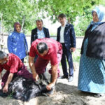 Kars Valisi Polat ve Milletvekili Çalkın’dan sürücülere bayramda trafik uyarısı – Birlik Haber Ajansı