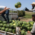 Bayram ziyareti faciaya dönüştü: Balık tutarken canından oldu – Birlik Haber Ajansı