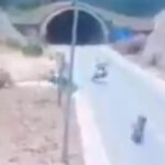 Samsun’un gençleri çevre için ses yükseltti! değişim elçileri Bafra’da buluştu – Birlik Haber Ajansı