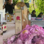 İstanbul’un tarihi bahçeleri yaz gecelerine kapılarını açıyor – Birlik Haber Ajansı