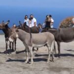 Kaçakçılığa geçit yok: Gümrük muhafaza ekiplerinden milyarlarca liralık operasyon – Birlik Haber Ajansı