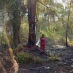 Antalya Aksu’da orman yangını kısa sürede söndürüldü – Birlik Haber Ajansı