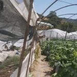 Türkiye’nin elektrik üretiminde nisan artışı: Yüzde 11’lik yükseliş dikkat çekti – Birlik Haber Ajansı