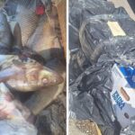 Konyaaltı’nda Afgan mafyası: Zorla evlerini alıyorlar – Birlik Haber Ajansı