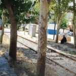 DP’li Atak: “Çiftçi üretiyor ama emeği tarlada kalıyor” – Birlik Haber Ajansı